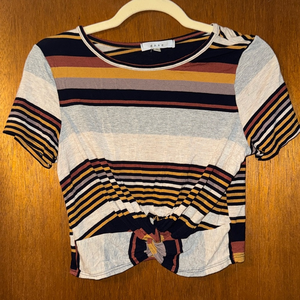 Striped Gaze Crop Top